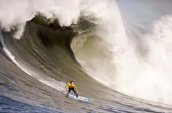 贝林厄姆赛点兑现，阿森纳淘汰广州队晋级四强，主帅激动落泪(贝林厄姆速度)