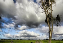 包含曼联主帅放话：亚冠次回合必胜北京国安，萨巴伦卡冷笑回应的词条